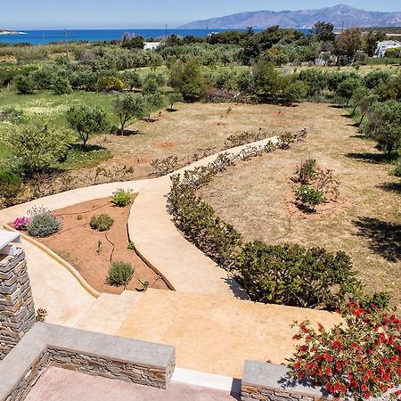 Villa Filizi - Filizi Naoussa Paros Santa Maria  Eksteriør billede