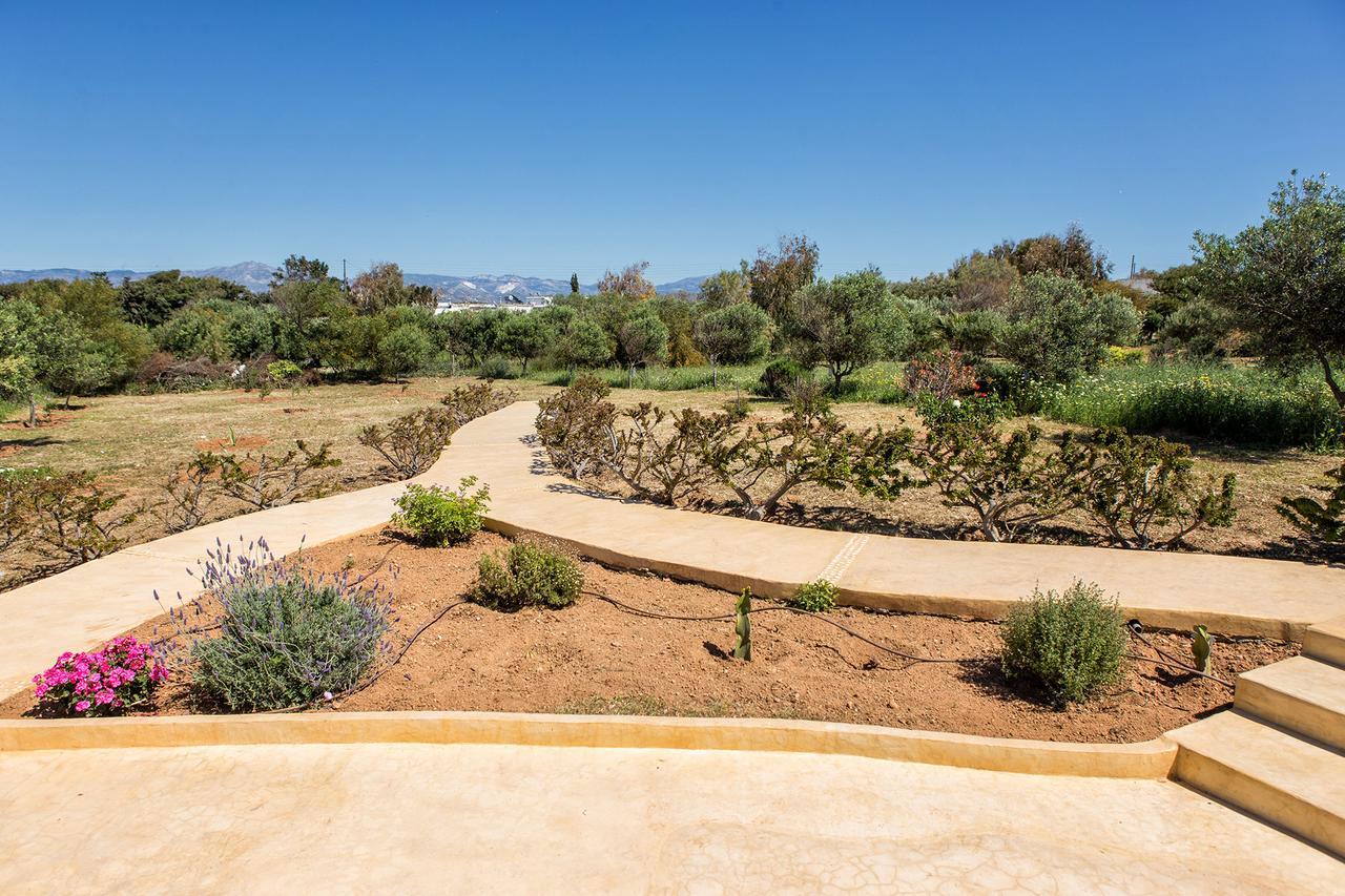 Villa Filizi - Filizi Naoussa Paros Santa Maria  Eksteriør billede